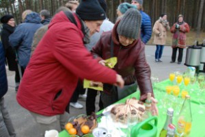 2017-01-01 Gorleben - 21