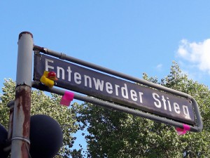 entenwerder stieg