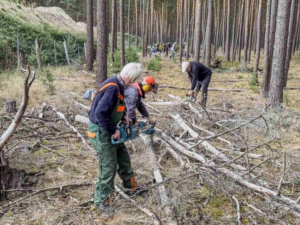 14.9.2025 - Der Weg um das Zwischenlager wird freigeschnitten, Foto. BI 14.9.2025 - Der Weg um das Zwischenlager wird freigeschnitten, Foto. BI